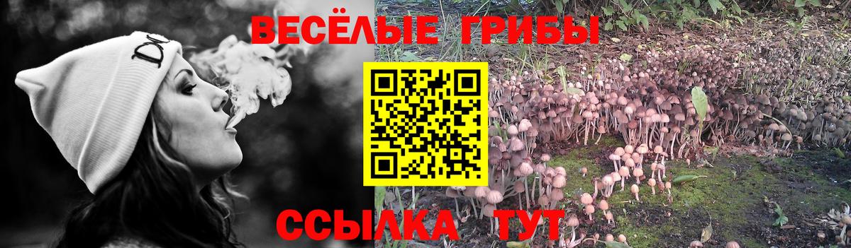 Псилоцибиновые грибы Psilocybine cubensis  Галлюциногенные грибы Magic Shrooms  Вход с VPN  Ангарск 